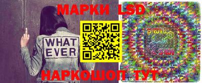 трава Кандалакша