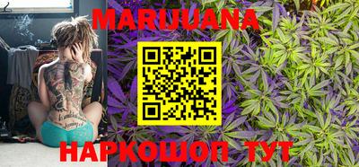 гидропоника Кингисепп