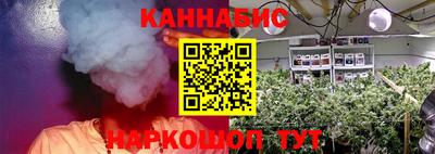твердый Камышлов