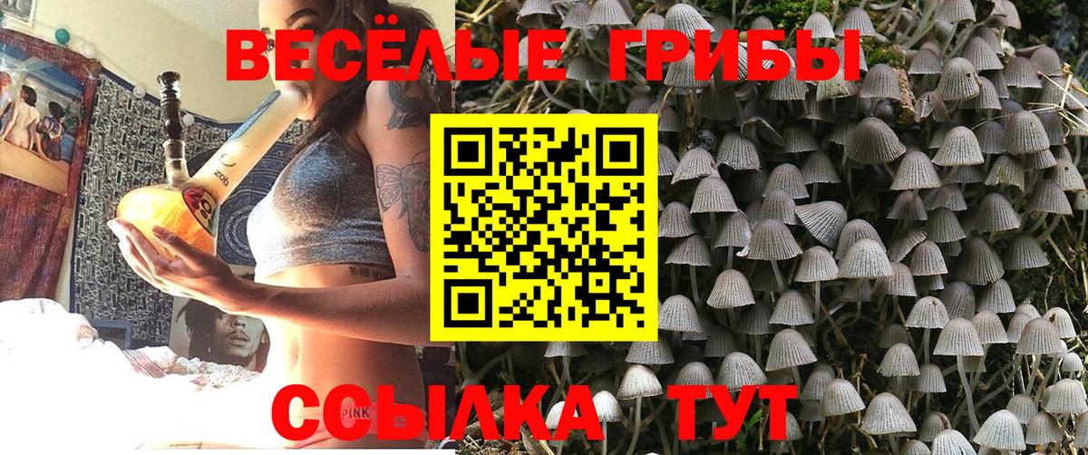 Галлюциногенные грибы Cubensis Екатеринбург